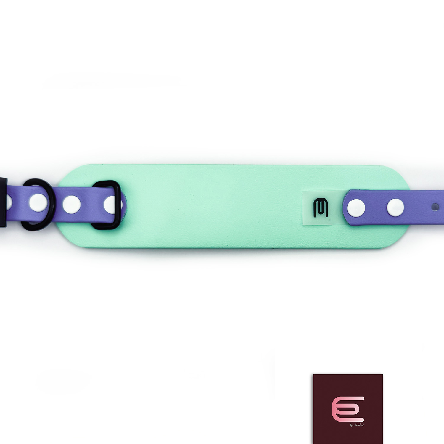 Obroża dla charcika włoskiego EYESH 317 BioThane® - EYESH -for dog walks- zdjęcie 1