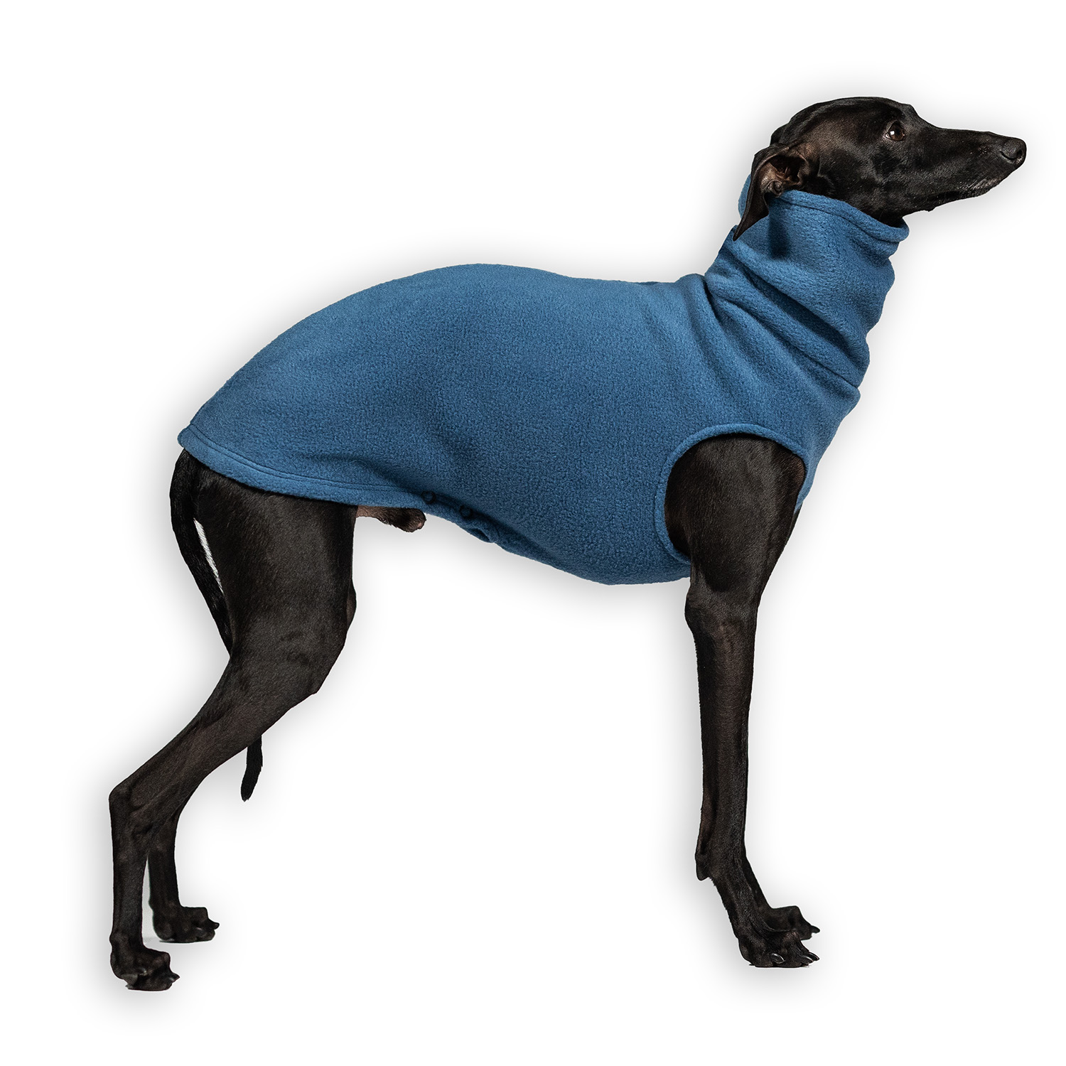 Polarowa bluza dla charcika BLUE FLEECE - Wear.Chartbeat zdjęcie 1