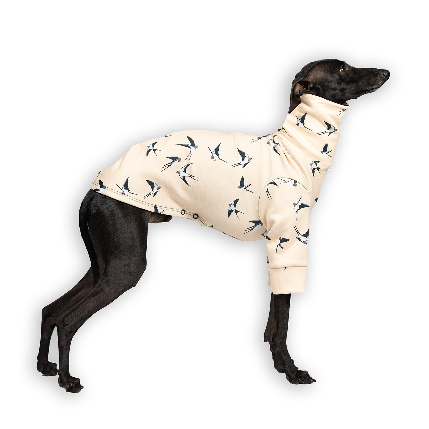 Bluza dla charcika SKYWHIRL Stretchmax® - Wear.Chartbeat zdjęcie 1