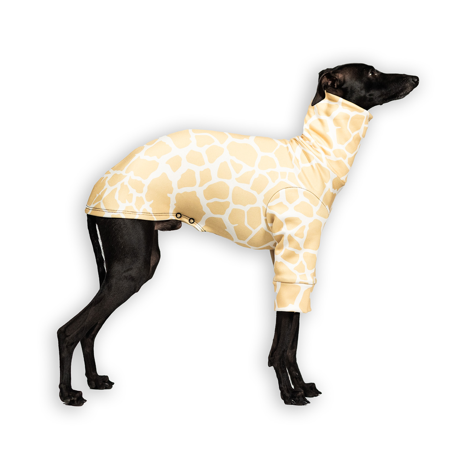Bluza dla charcika SAVANNAH Stretchmax® - Wear.Chartbeat zdjęcie 1