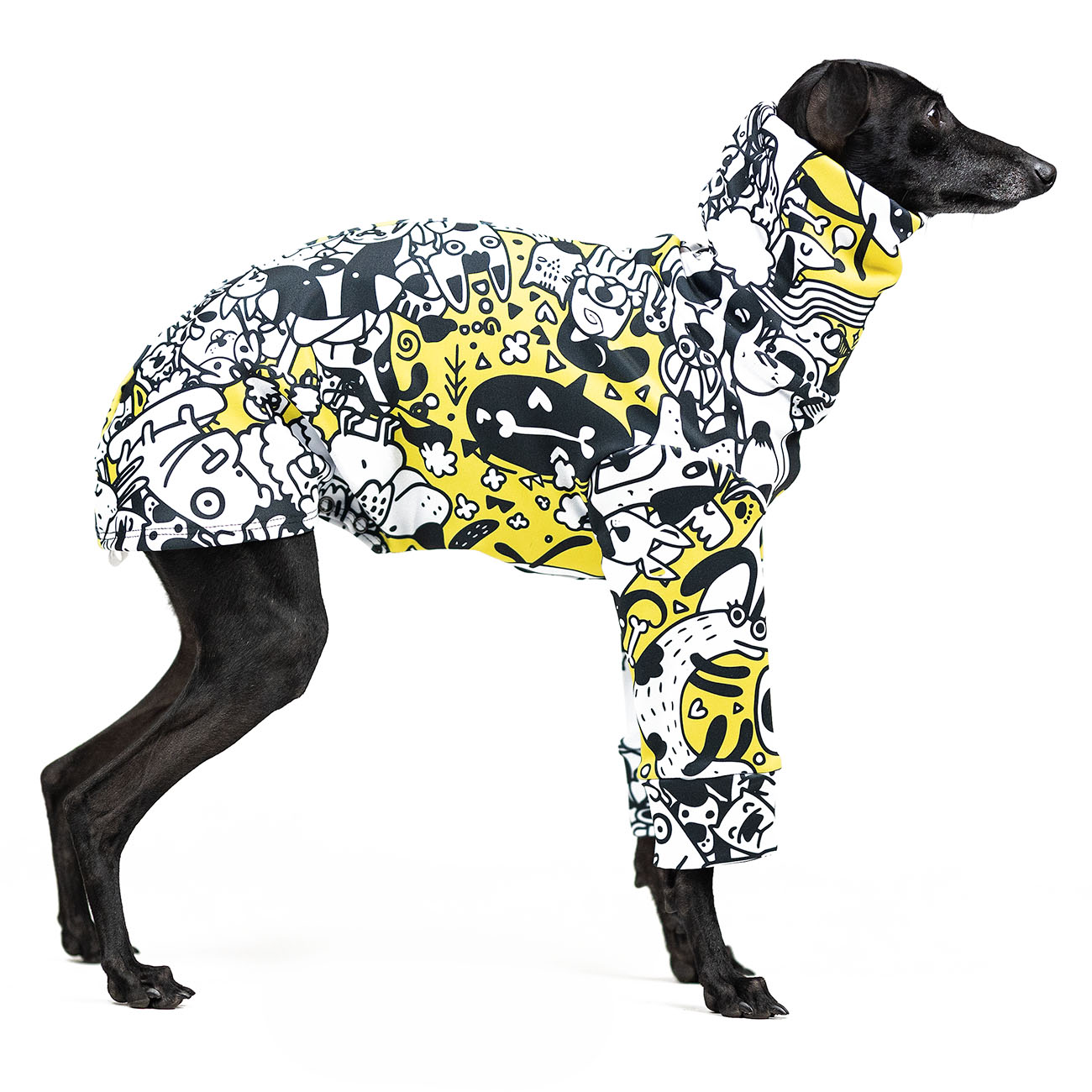 Bluza dla charcika COMIX DOG - Wear.Chartbeat zdjęcie 2