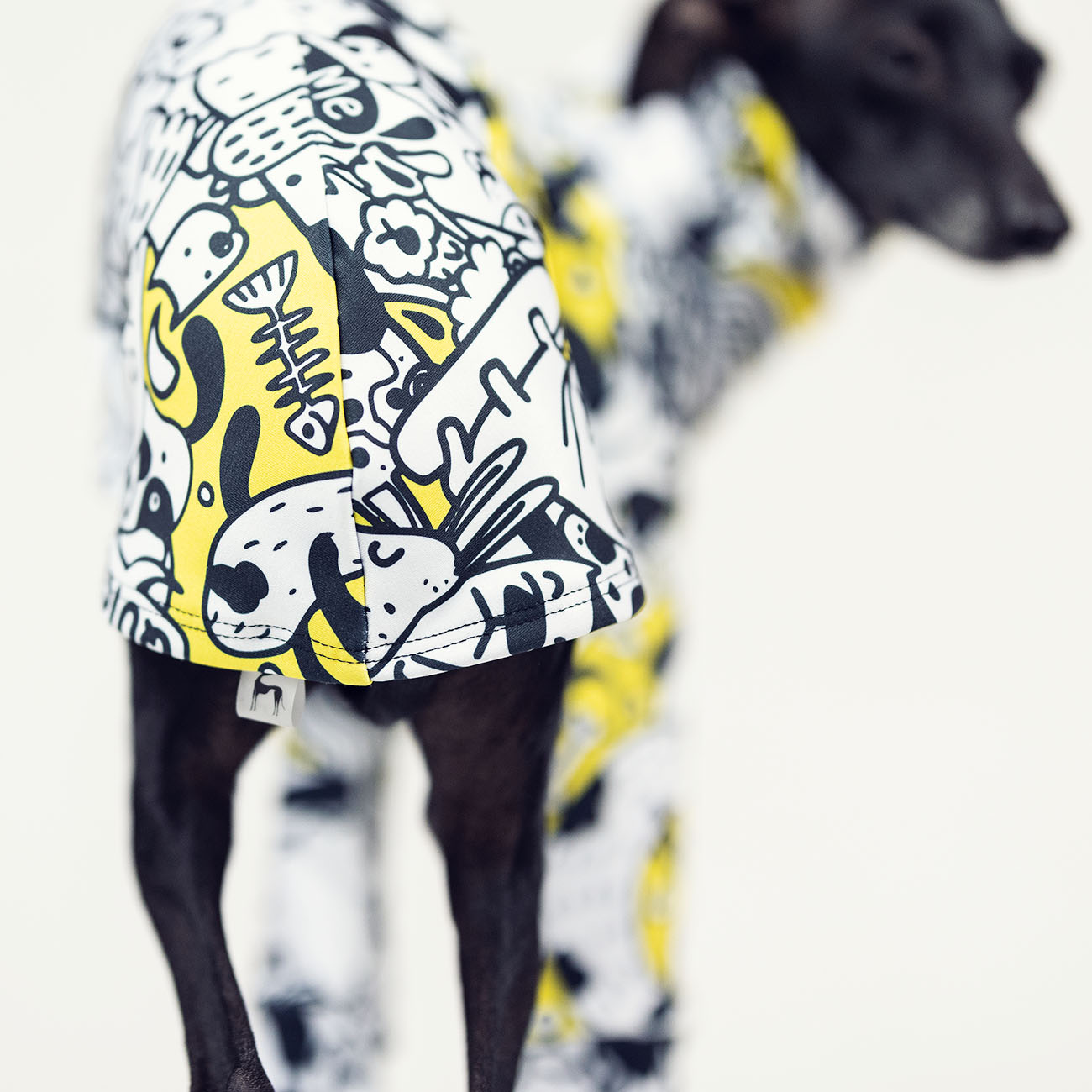 Bluza dla charcika COMIX DOG - Wear.Chartbeat zdjęcie 4