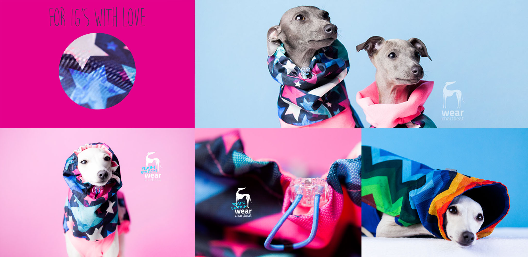 bluza dla charcika marzec 2016