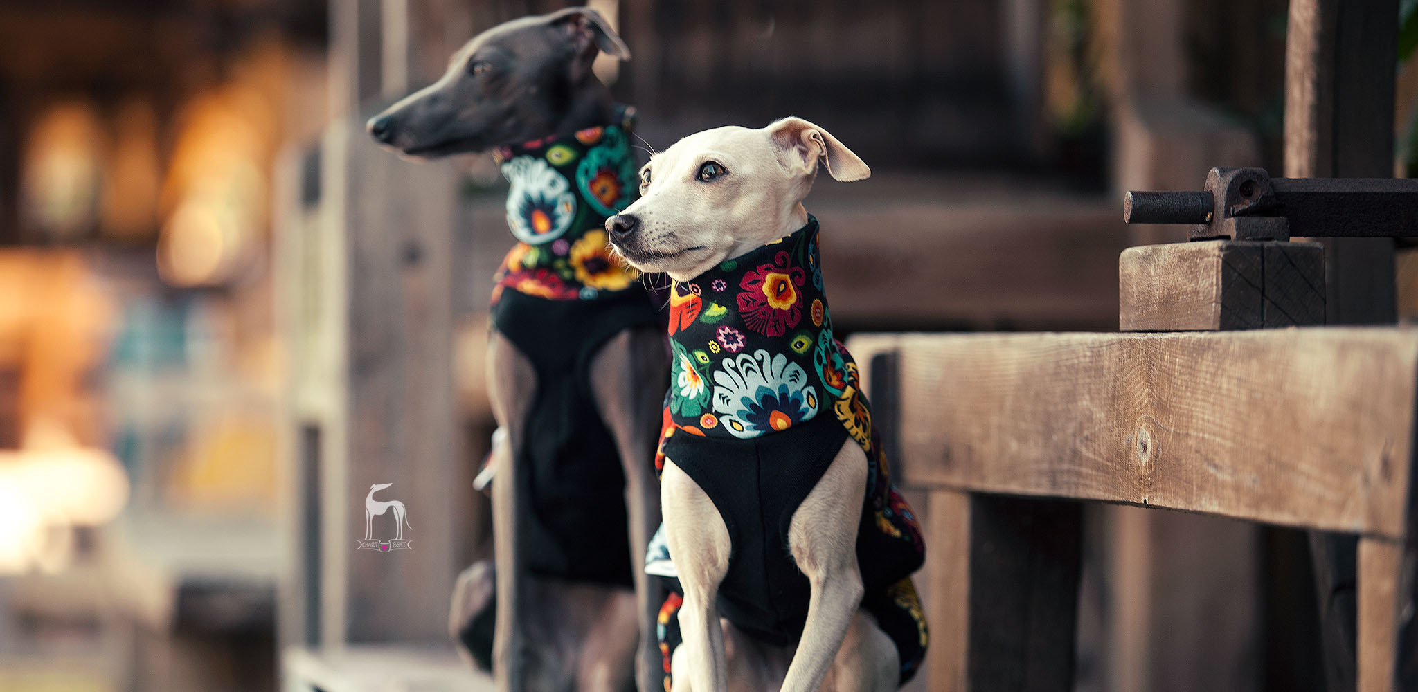 ubranko dla charcika folkowy wzór