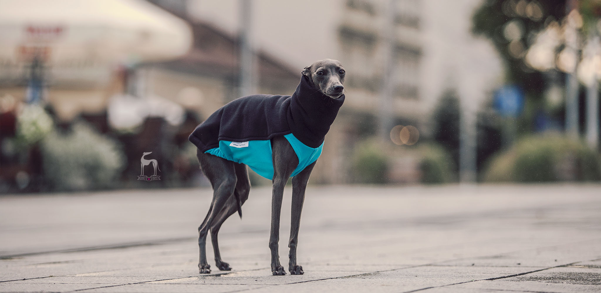 ubranko dla charcika folkowy ciepła bluza