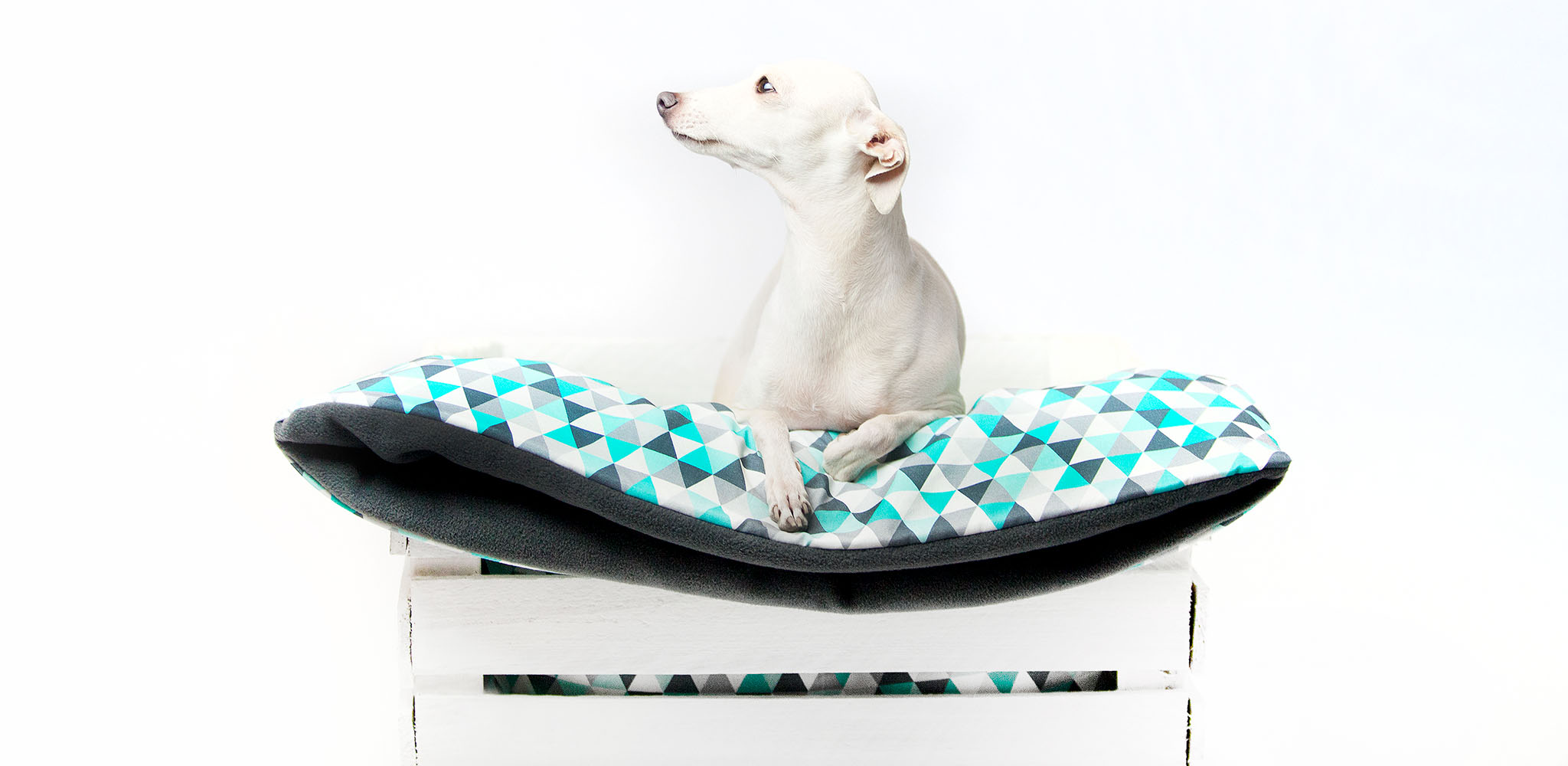 śpiworek dla charcika