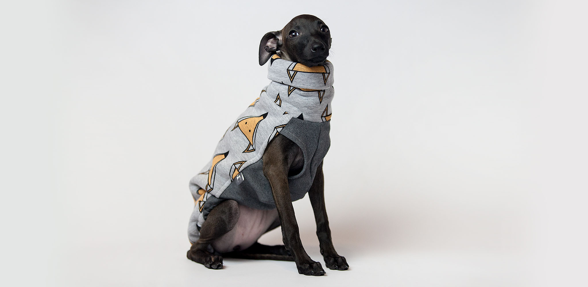 ciepła bluza dla charcika