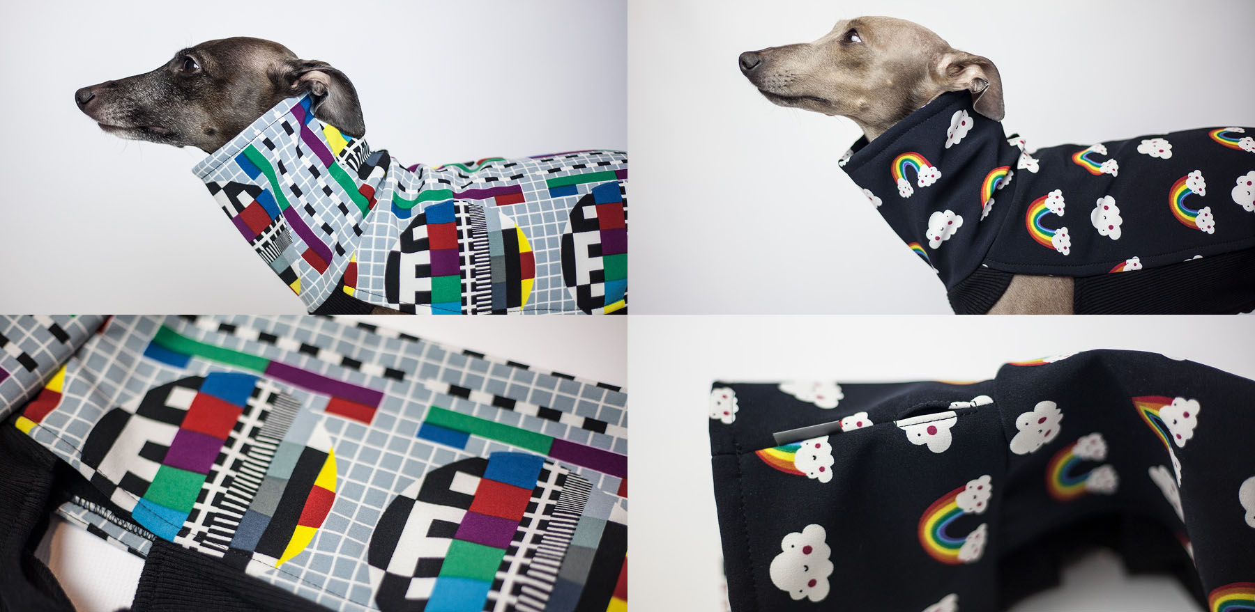 kurtki dla charcików włoskich