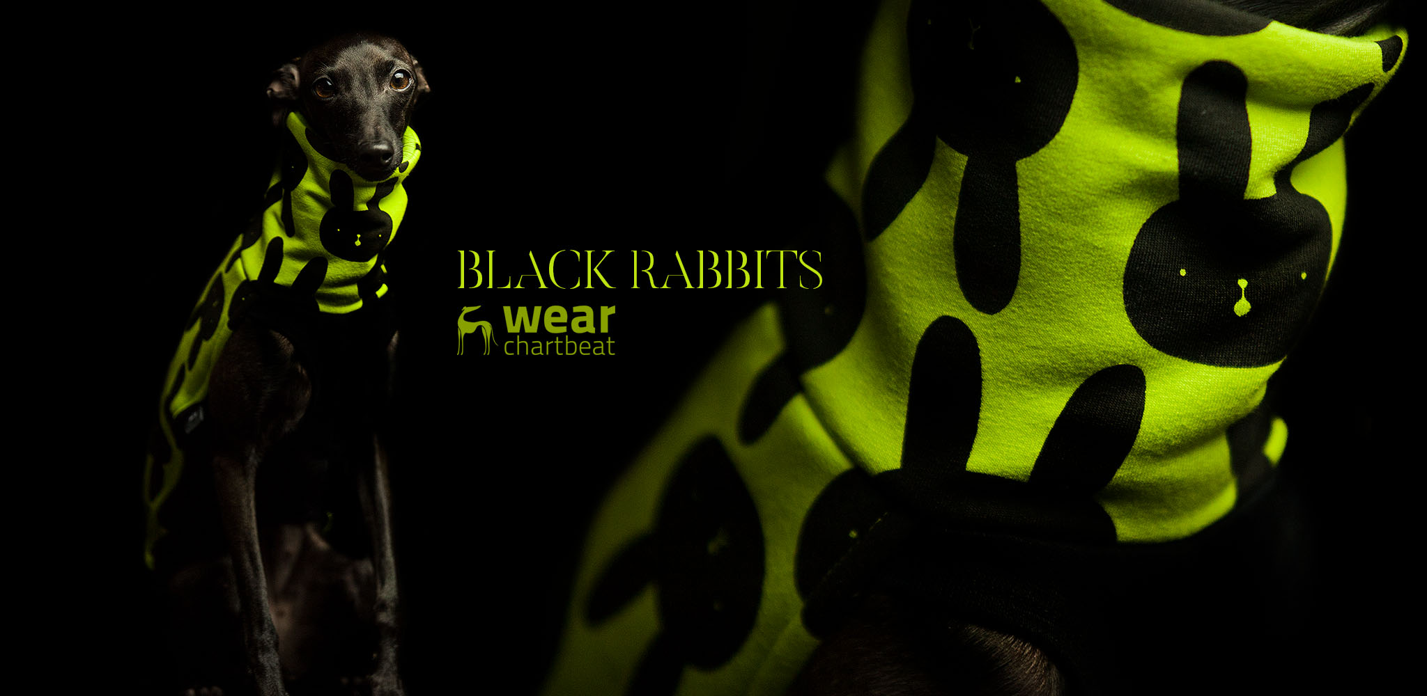 sklep z ubrankami dla charcików włoskich