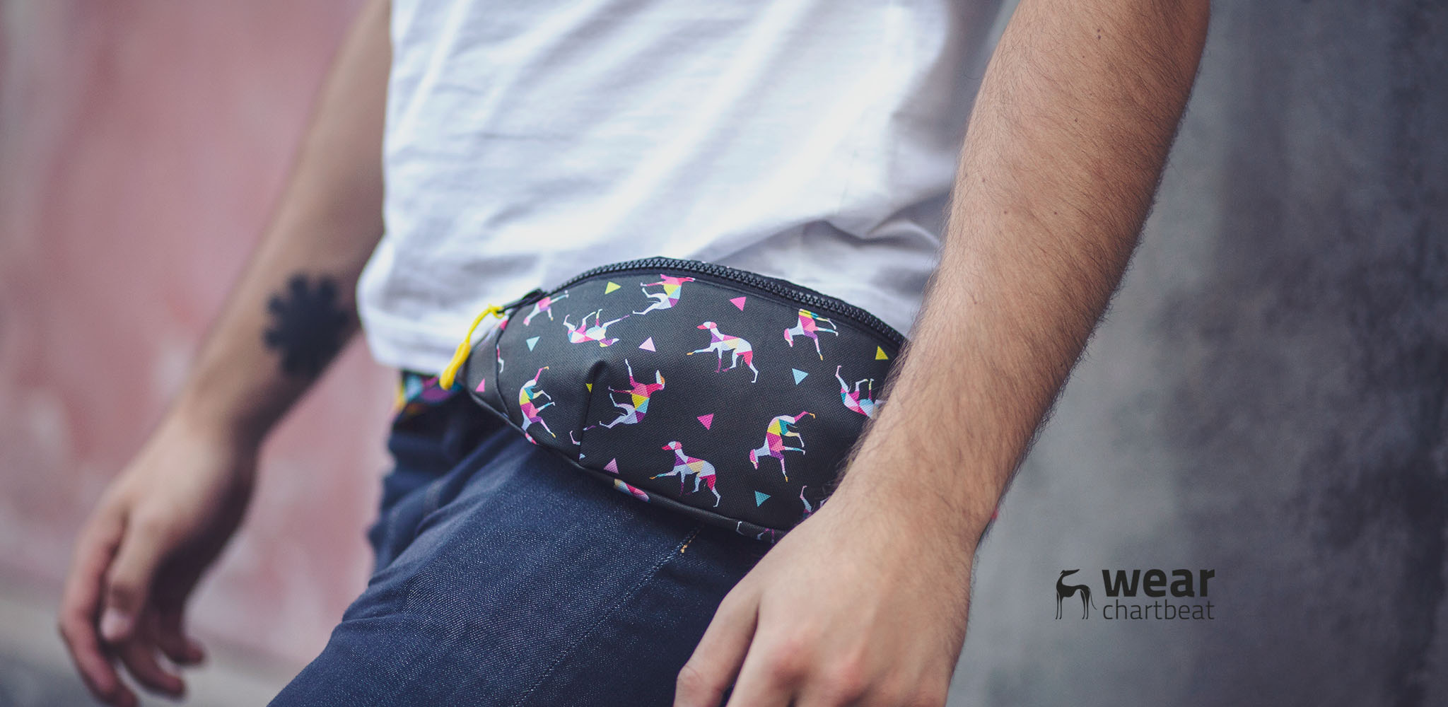 sklep dla charcików włoskich