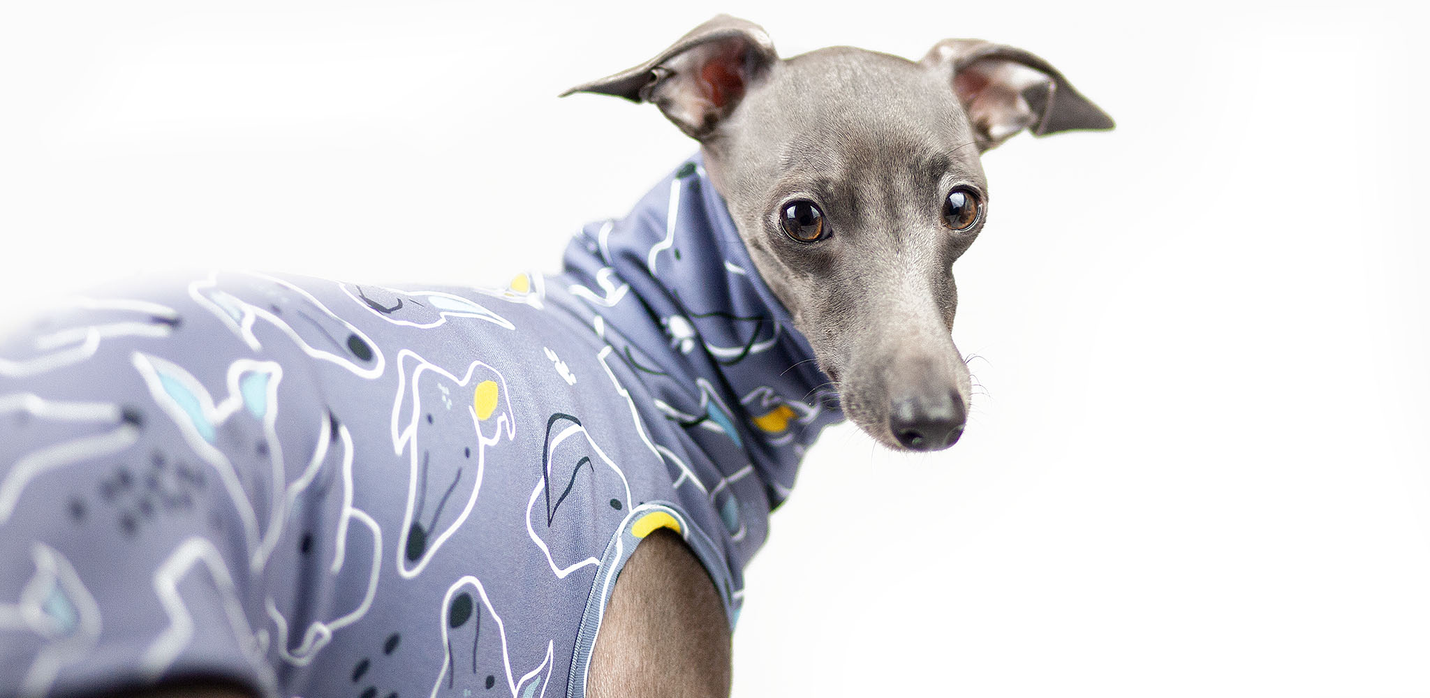 bluza dla charcika włoskiego