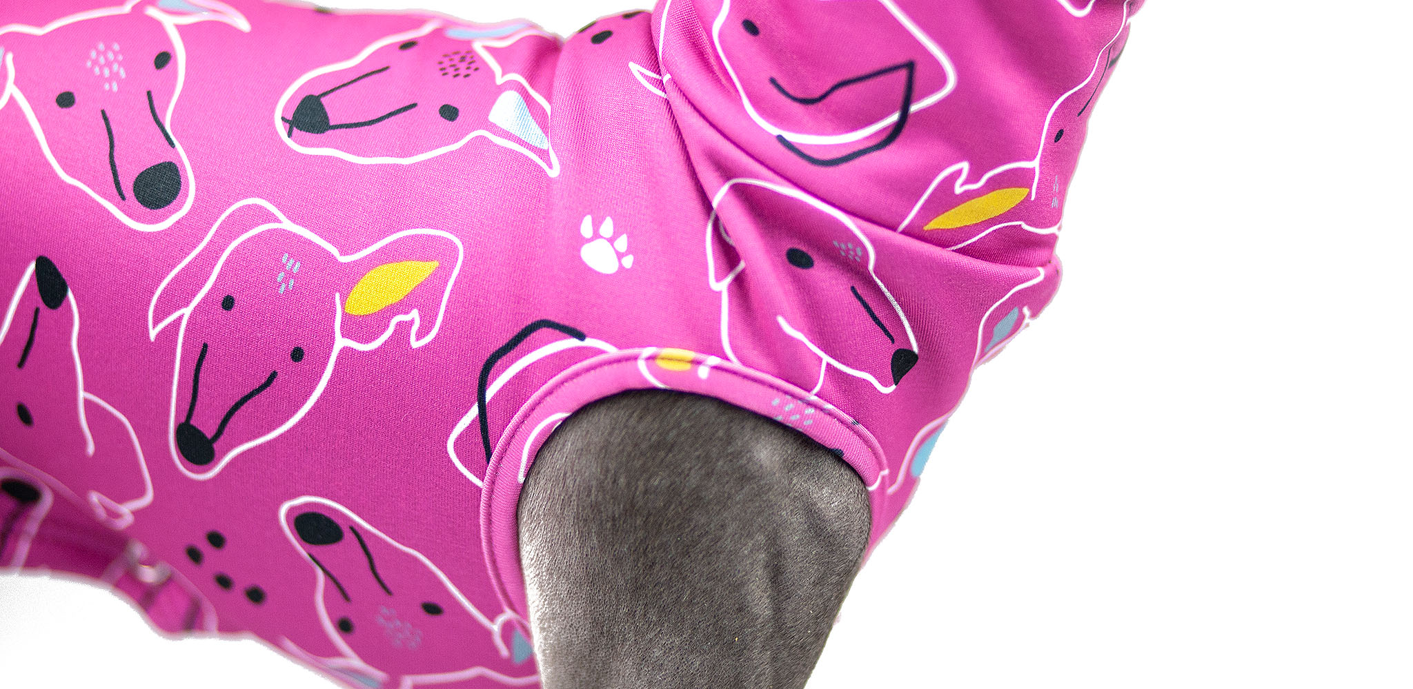 sklep dla charcików włoskich bluzy