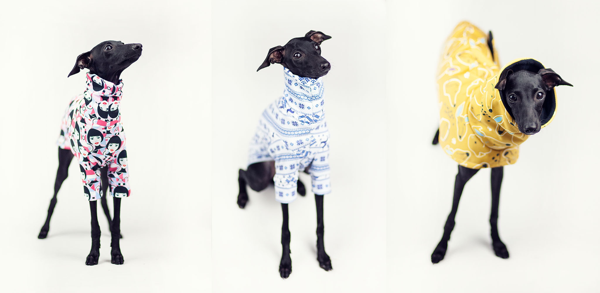 ubranka dla charcików włoskich sklep