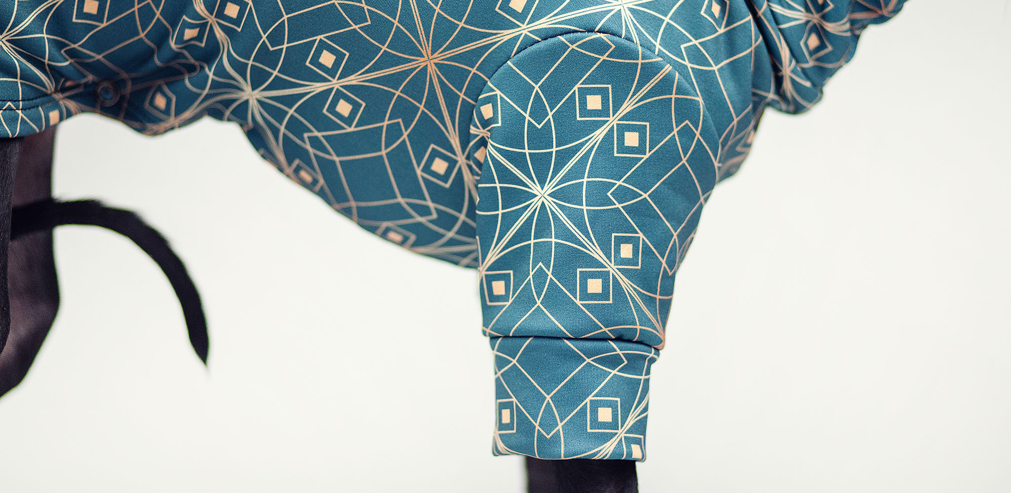 elegancka bluza dla charcika włoskiego