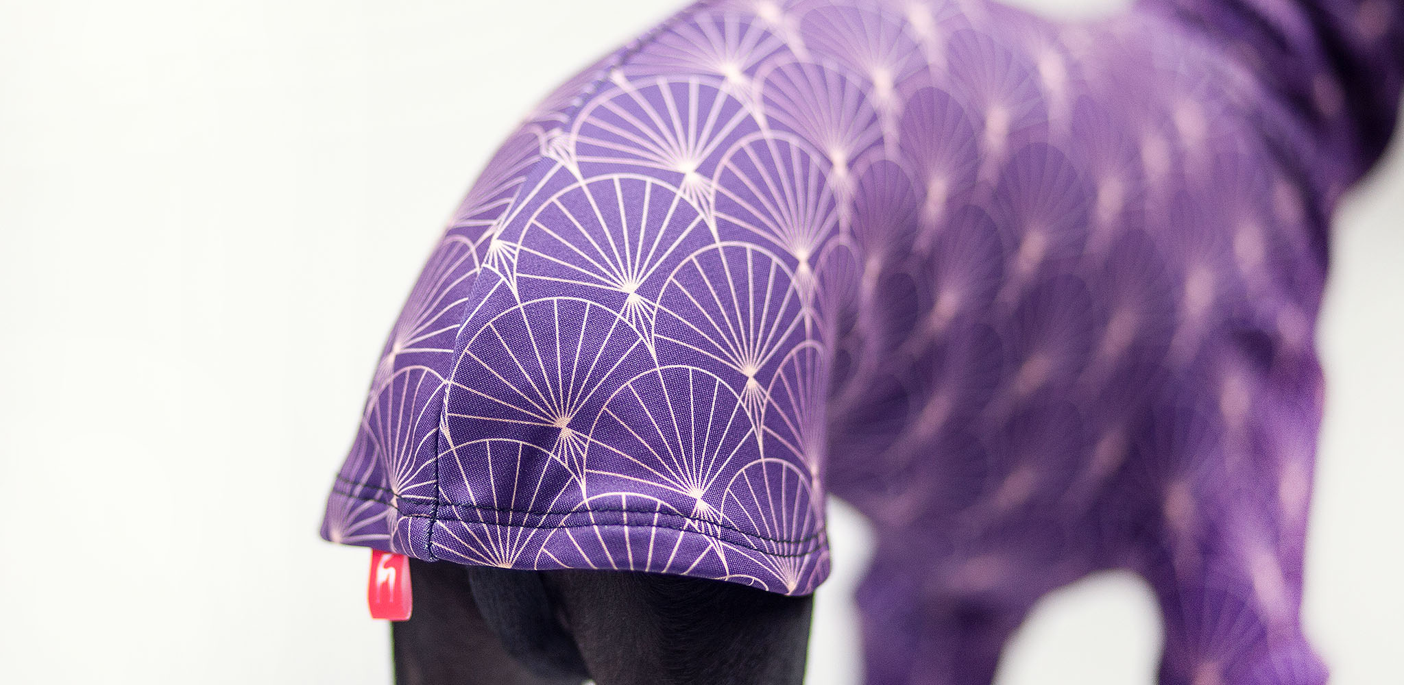 eleganckie bluzy dla charcików włoskich