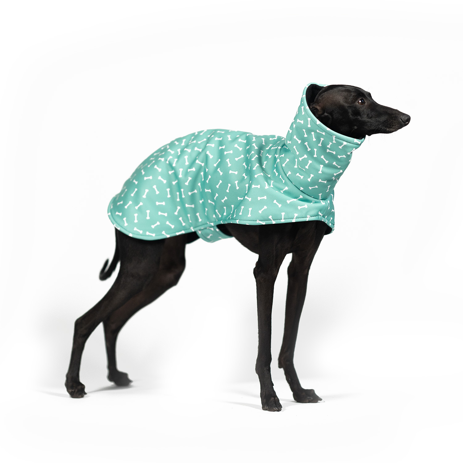 Kurtka dla charcika BONE APPETIT Softshell® - Wear.Chartbeat zdjęcie 1