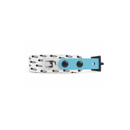 Obroża dla charcika włoskiego PUPPY EYESH 370 BioThane®