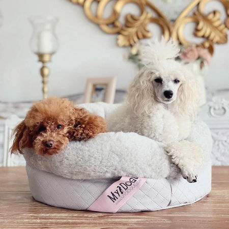 BOW MEOW XL legowisko dla charcika