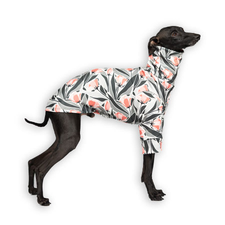 Bluza dla charcika TULIP NOIR Stretchmax® - Wear.Chartbeat zdjęcie 1