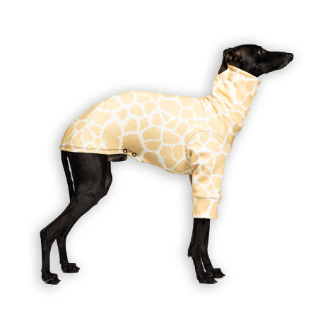 Bluza dla charcika SAVANNAH Stretchmax® - Wear.Chartbeat zdjęcie 1