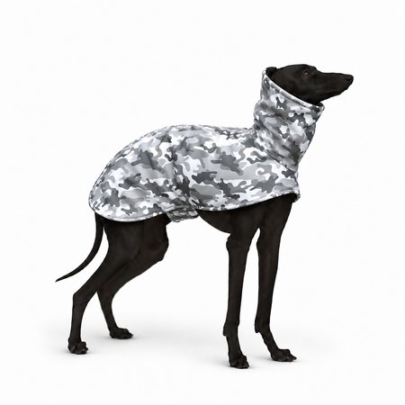 Kurtka dla charcika CAMO WINTER Softshell®