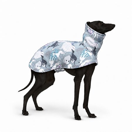 Kurtka dla charcika GREYT Softshell®