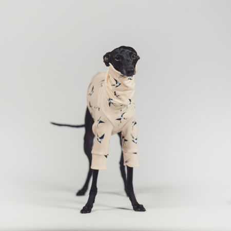Bluza dla charcika SKYWHIRL Stretchmax® - Wear.Chartbeat zdjęcie 3