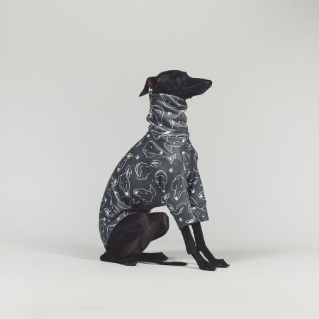 Bluza dla charcika SIGHTHIE NEW Stretchmax® - Wear.Chartbeat zdjęcie 3