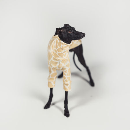 Bluza dla charcika SAVANNAH Stretchmax® - Wear.Chartbeat zdjęcie 3