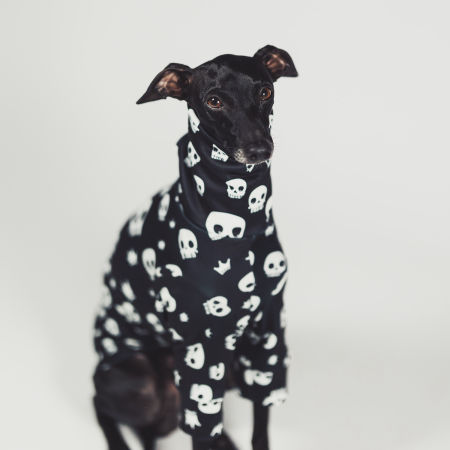 Bluza dla charcika SPOOKIFY Stretchmax® - Wear.Chartbeat zdjęcie 2