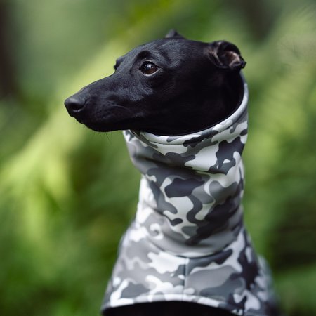 Kurtka dla charcika CAMO WINTER Softshell®