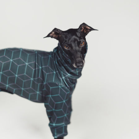 Bluza dla charcika CYBERPUNK Stretchmax® - Wear.Chartbeat zdjęcie 2