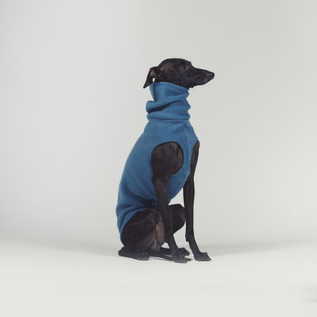 Polarowa bluza dla charcika BLUE FLEECE - Wear.Chartbeat zdjęcie 2