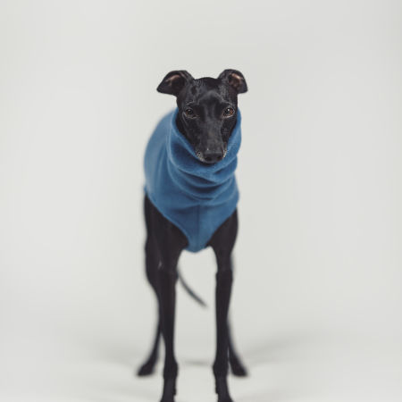 Polarowa bluza dla charcika BLUE FLEECE - Wear.Chartbeat zdjęcie 3