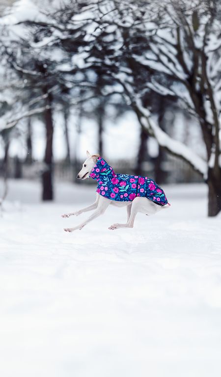 Kolekcja fOlk you! - WearChartbeat x Cup of Layna