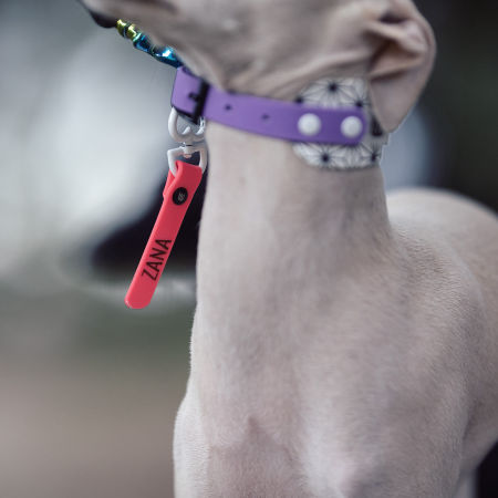 SAFETY TAG dla charcika rozm. S - EYESH -for dog walks- zdjęcie 2