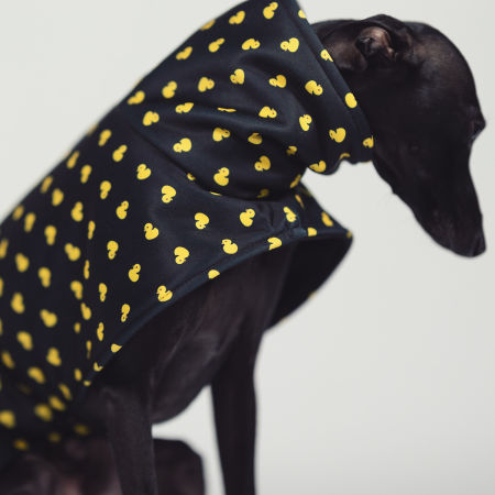 Kurtka dla charcika DUCK OFF Softshell® - Wear.Chartbeat zdjęcie 3
