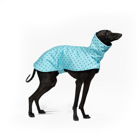 Kurtka dla charcika BLUE POSITIVE Softshell® - Wear.Chartbeat zdjęcie 1