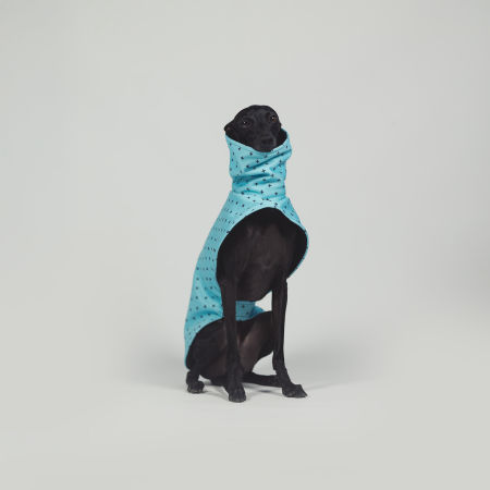Kurtka dla charcika BLUE POSITIVE Softshell® - Wear.Chartbeat zdjęcie 3