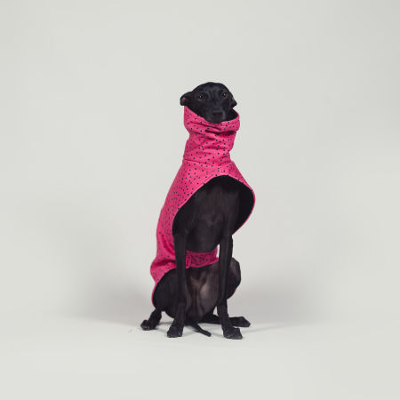 Kurtka dla charcika ROSSO CRUSH Softshell® - Wear.Chartbeat zdjęcie 3