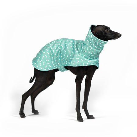 Kurtka dla charcika BONE APPETIT Softshell® - Wear.Chartbeat zdjęcie 1