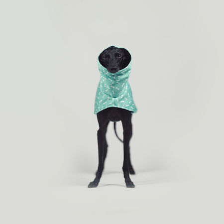 Kurtka dla charcika BONE APPETIT Softshell® - Wear.Chartbeat zdjęcie 3