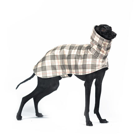 Kurtka dla charcika FURBERRY Softshell® - Wear.Chartbeat zdjęcie 1