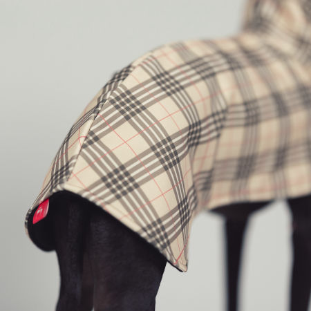 Kurtka dla charcika FURBERRY Softshell® - Wear.Chartbeat zdjęcie 4