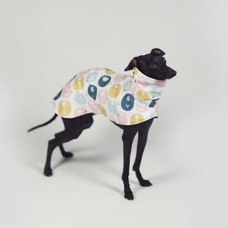 Kurtka dla charcika FLOVER Softshell® - Wear.Chartbeat zdjęcie 3