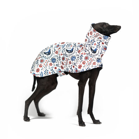 Kurtka dla charcika SLAVIC Softshell® - Wear.Chartbeat zdjęcie 1