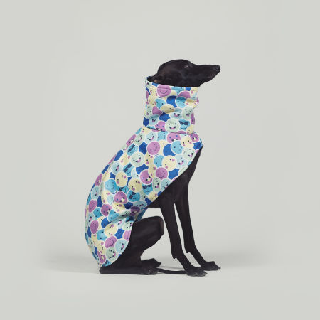 Kurtka dla charcika EMOJITO Softshell® - Wear.Chartbeat zdjęcie 4