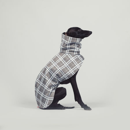 Kurtka dla charcika FOG CHECK Softshell® - Wear.Chartbeat zdjęcie 4