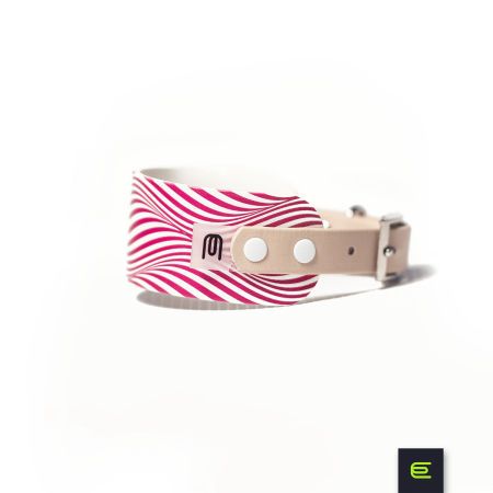 Obroża dla charcika włoskiego EYESH 106 BioThane®