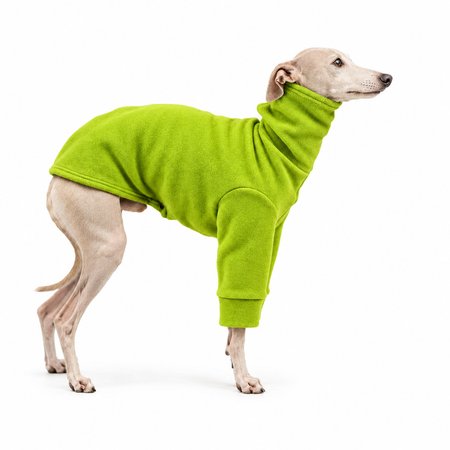 Bluza dla charcika FLEECE ME! Lime
